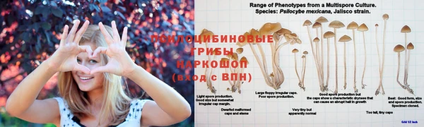 гашишное масло Алексин