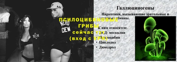 винт Алзамай