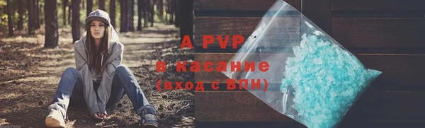 индика Новодвинск