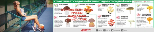 винт Алзамай