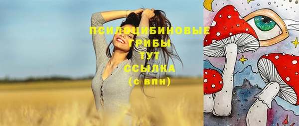 кокаин премиум Алексеевка