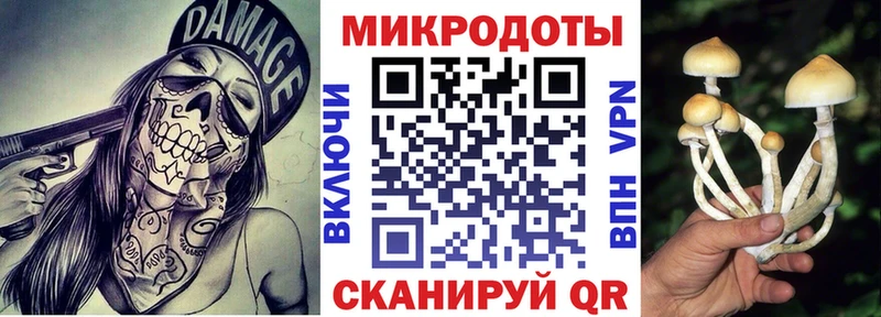 Псилоцибиновые грибы MAGIC MUSHROOMS  Сортавала 